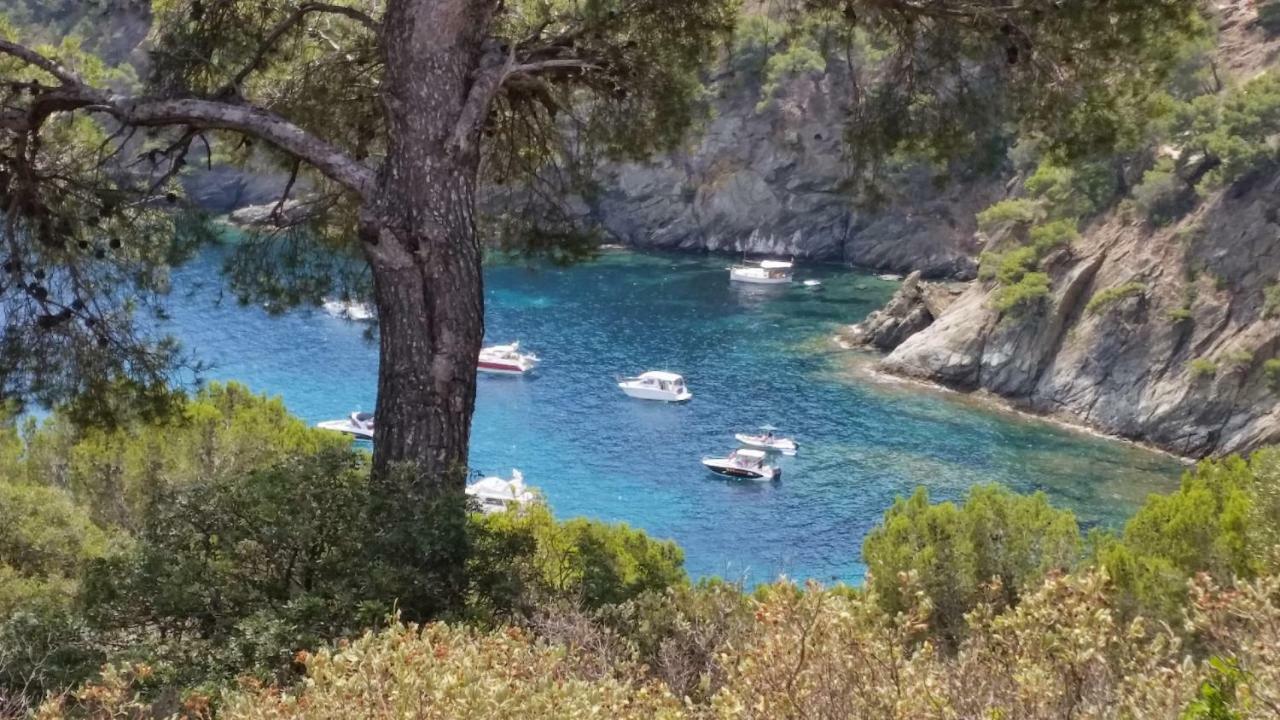 Puerto Simona 11A Daire Roses Dış mekan fotoğraf